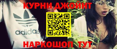 гашик Будённовск