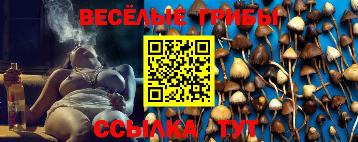 Псилоцибиновые грибы Magic Shrooms  Псилоцибиновые грибы ЛСД  Армавир  цены наркотик  Вход с VPN 