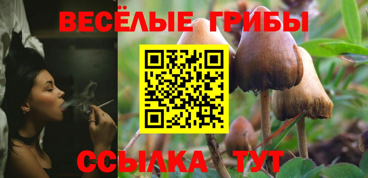 Галлюциногенные грибы GOLDEN TEACHER Армавир